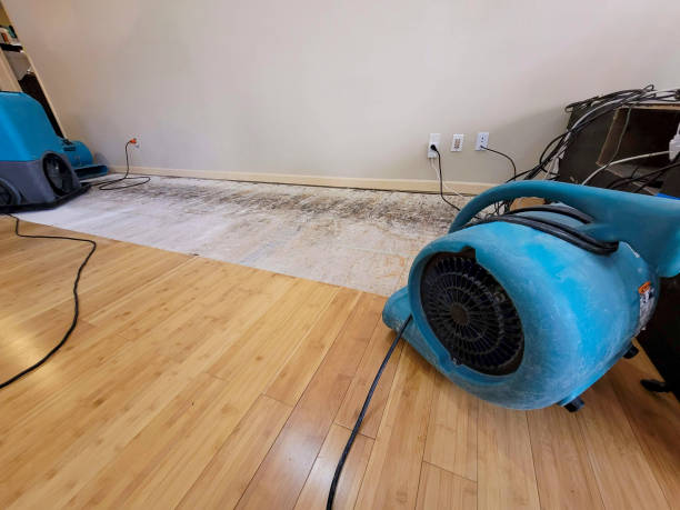 Professional Water Damage Repair technician working in Lititz, PA